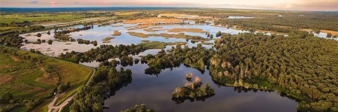 Kopacki Rit National Park